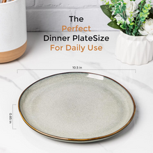 Load image into Gallery viewer, AmorArc Ceramic Dinner Plates Set of 6,10.5 Inch Handmade Reactive Glaze Stoneware Plates, Rustic Shape Dinnerware Dish Set for Kitchen, Microwave & Dishwasher Safe, Scratch Resistant-Green Wheat