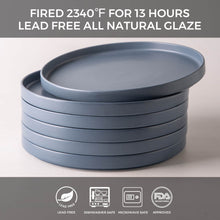 Load image into Gallery viewer, Matte Stoneware Dinner Plates 10.0 Inch Set of 6 - ADP001