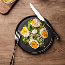 Load image into Gallery viewer, Matte Stoneware Dinner Plates 8.0 Inch Set of 6 - ASP001