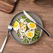 Load image into Gallery viewer, Matte Stoneware Dinner Plates 8.0 Inch Set of 6 - ASP001