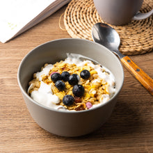 Load image into Gallery viewer, 26OZ Large Ceramic Soup /Cereal / Salad Bowls Set of 6 - LCB001