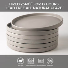 Load image into Gallery viewer, Matte Stoneware Dinner Plates 10.0 Inch Set of 6  - ADP001
